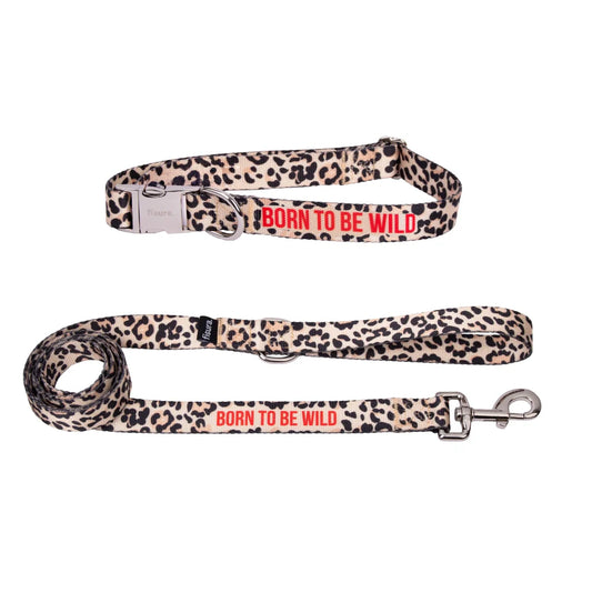 Fisura Dog Leash