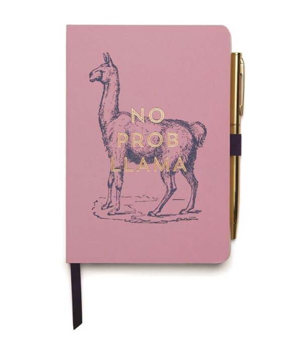 Notebook No Prob Llama